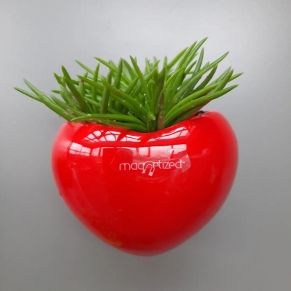 Magneetpotje hart X3